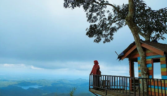 Tebing Gunung Gajah 