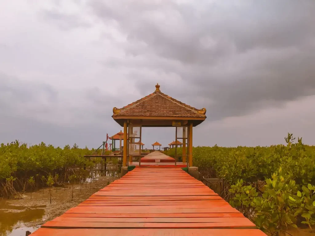 jembatan merah hutan mangrove