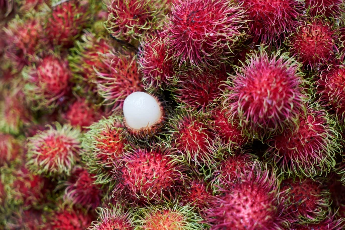 manfaat buah rambutan untuk pria | Info Jateng Pos