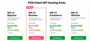 paket hosting