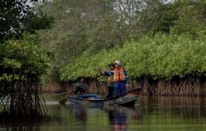 Segara Anakan Cilacap