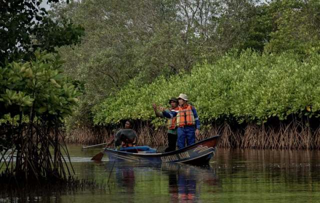 Segara Anakan Cilacap